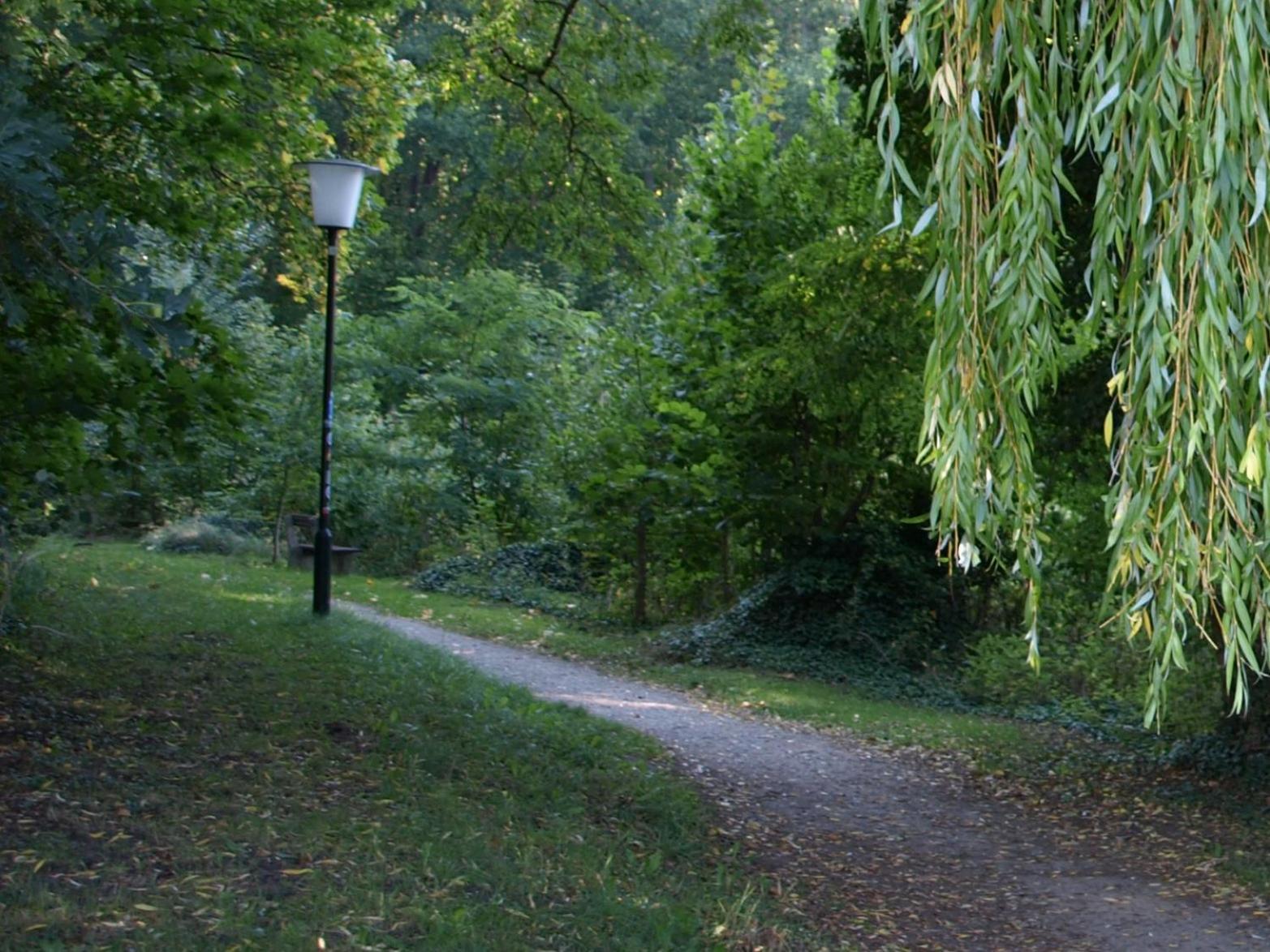 Ferienhaus Am Klosterwald Dargun Dış mekan fotoğraf